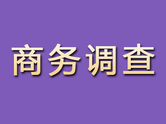 靖西商务调查